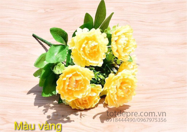 9b4f3667c81492756ab37e9b4122802c