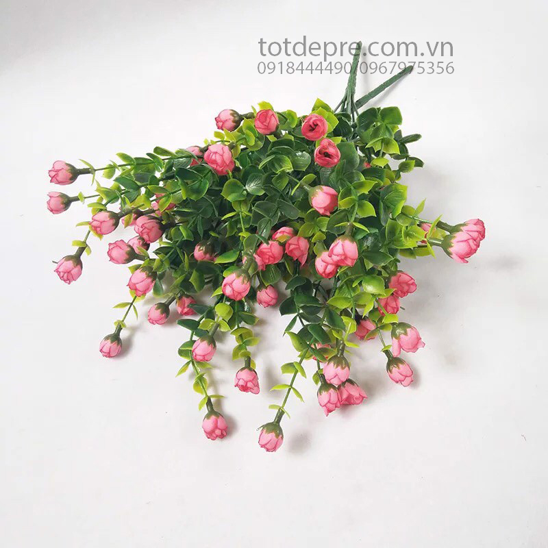 e1d11066-fd5d-4ba6-9d79-acc967da2538_master