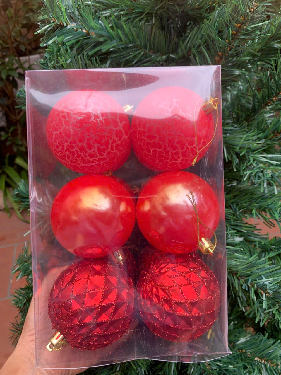 châu xà cừ1