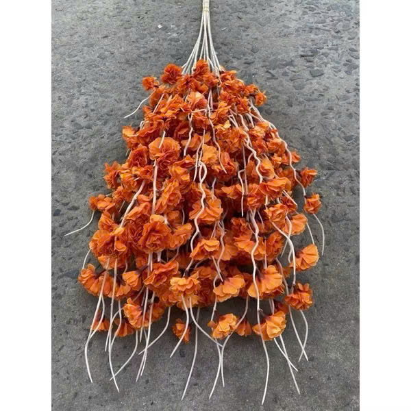 z7358776264431_56153d1f30c8f2b97d8f3b14ae3b78e8