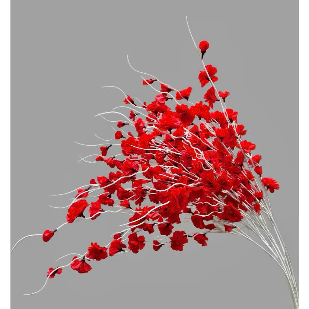 z7360062734859_0af6120e9daa8f5d0a5d320102e7b05b