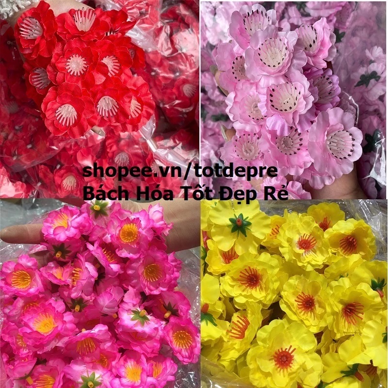 vn-11134207-7ras8-m4vizrywf16g87 - Copy