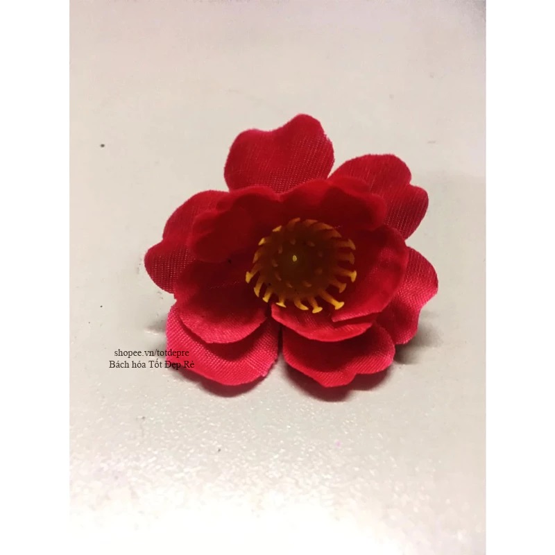 vn-11134207-7ras8-m52bzck6z1mrf0 - Copy